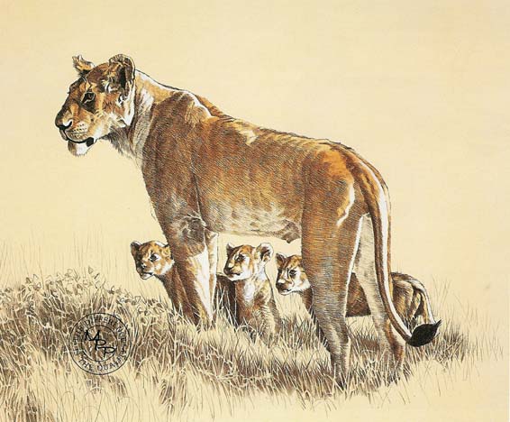 Lioness and Cubs